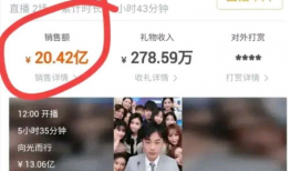 91直播收入大概是多少,数字背后的惊人真相